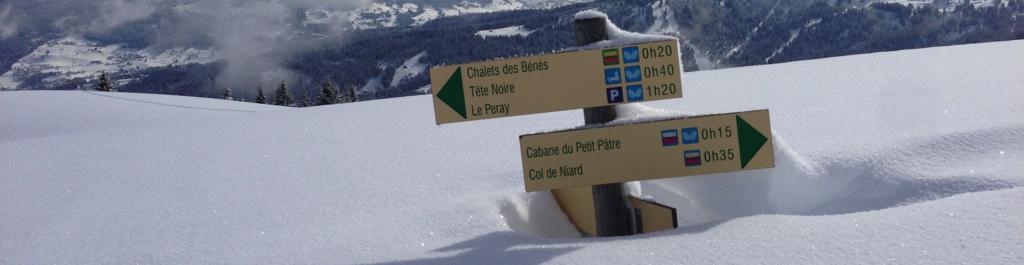 Guided snowshoe walks and holidays in the Alsp